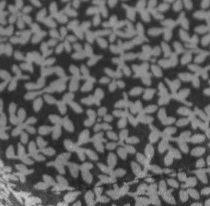 Chill Flowers Sheet Set - Image 5