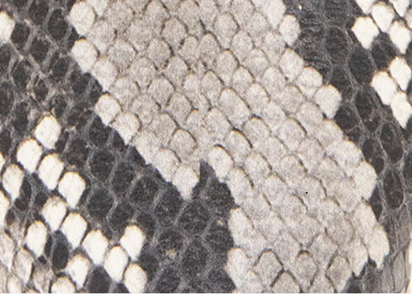 GENTLE SOULS - Georgia Snake Slingback Heel - Image 7